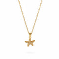 Starfish