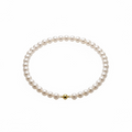 Luxury Choker Elegance Lockbone Chain